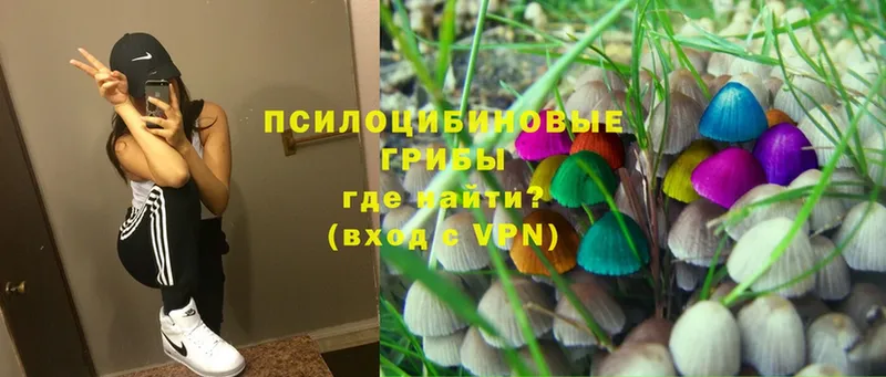 Псилоцибиновые грибы Magic Shrooms  продажа наркотиков  Рассказово 